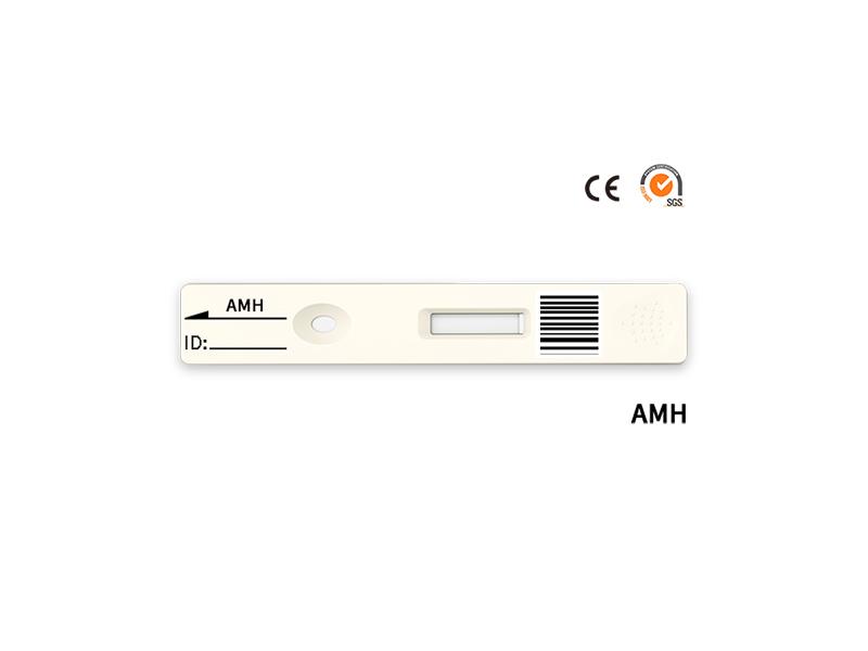Biotime AMH Rapid Quantitative Test
