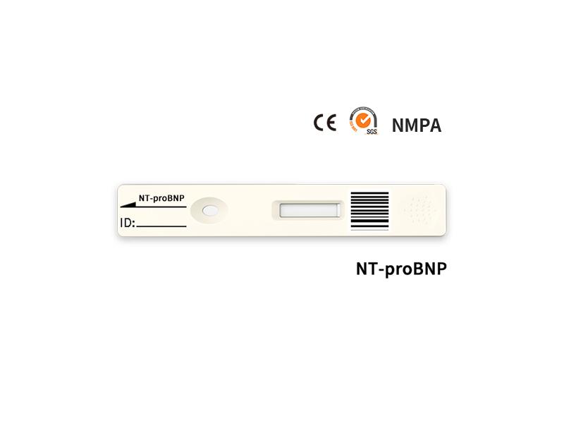 Biotime NT-proBNP Rapid Quantitative Test