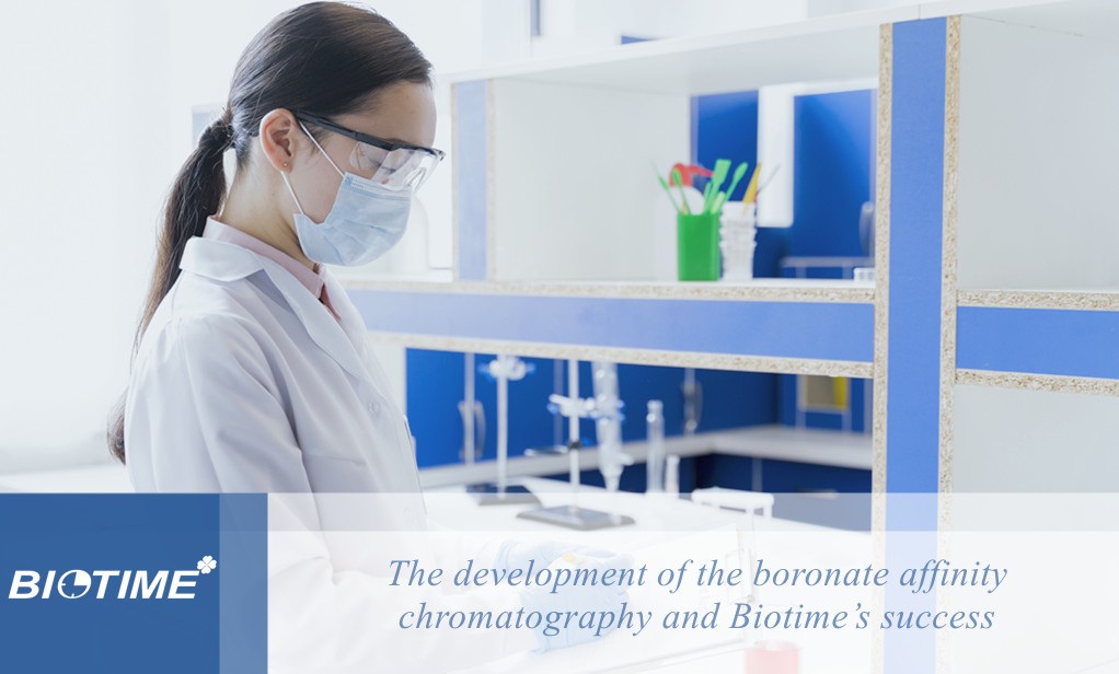el desarrollo de la cromatografía de afinidad con boronato y el éxito de biotime
